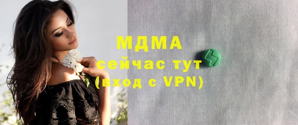 сатива Галич