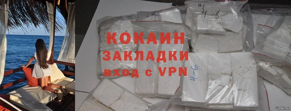 сатива Галич