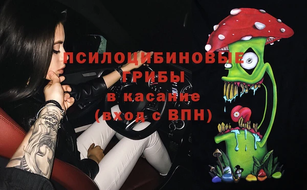 сатива Галич