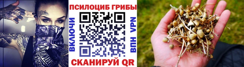 Купить  Джанкой  Галлюциногенные грибы прущие грибы 